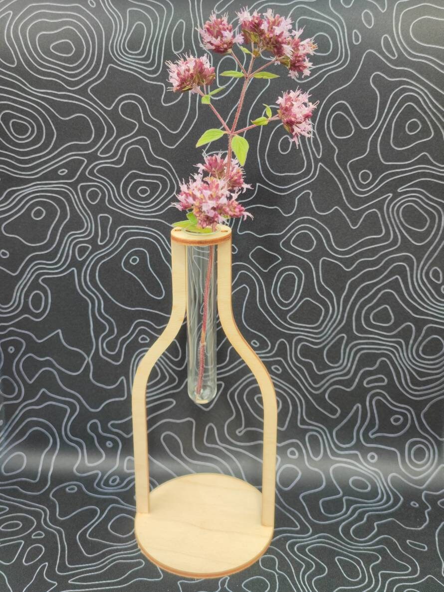 Reagenzglas Vase (minimalistisch und modern aus Echtglas und Birkenholz) - LaserErz 