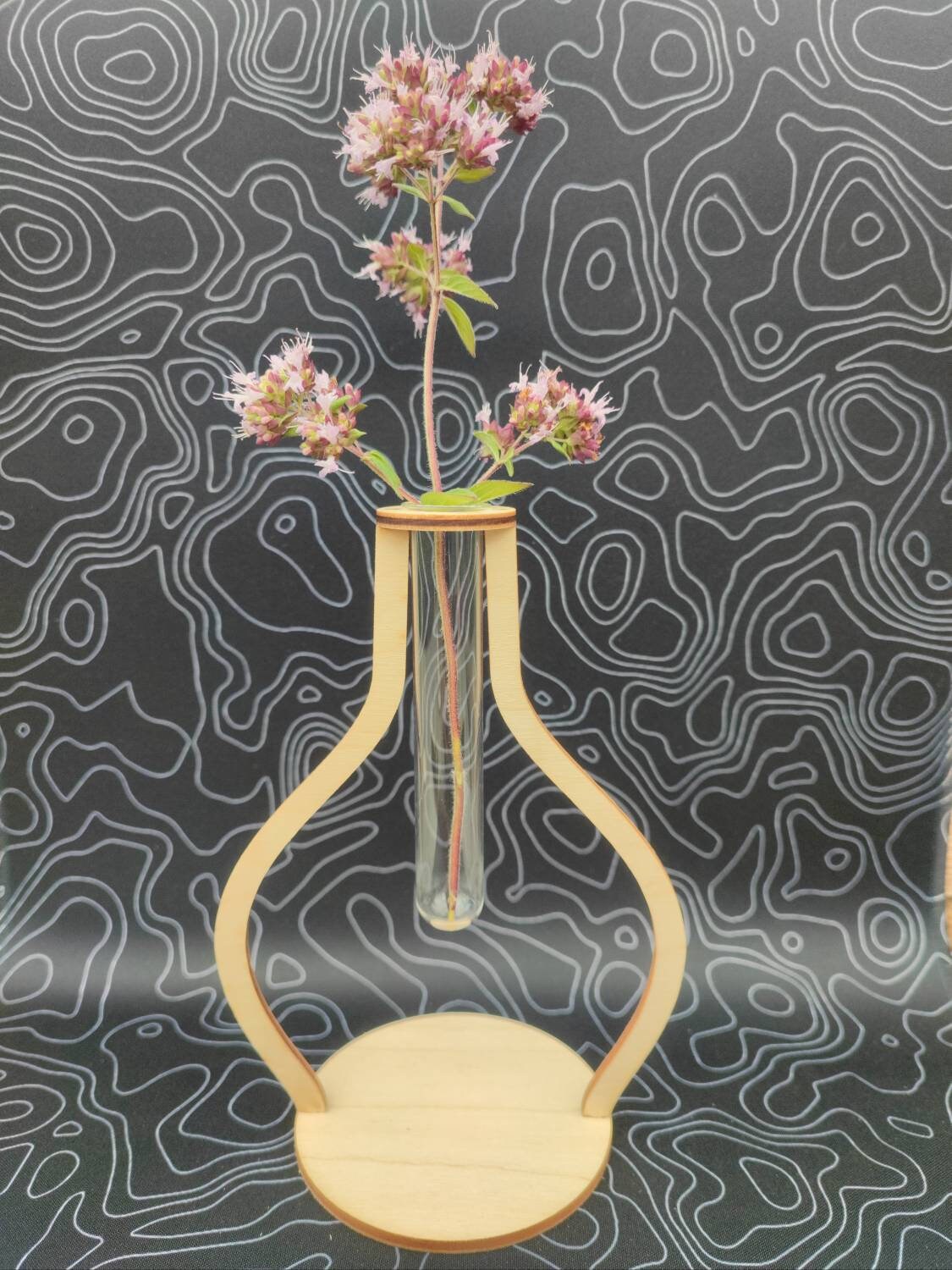 Reagenzglas Vase (minimalistisch und modern aus Echtglas und Birkenholz) - LaserErz 